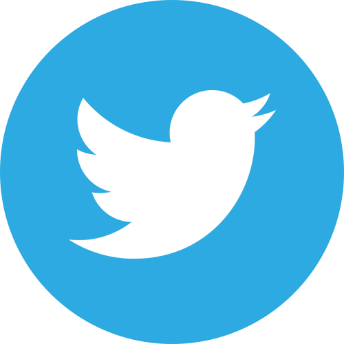 Twitter Resume Icon